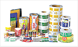 Food Packaging Materials(Aseptic pack, Pouch)