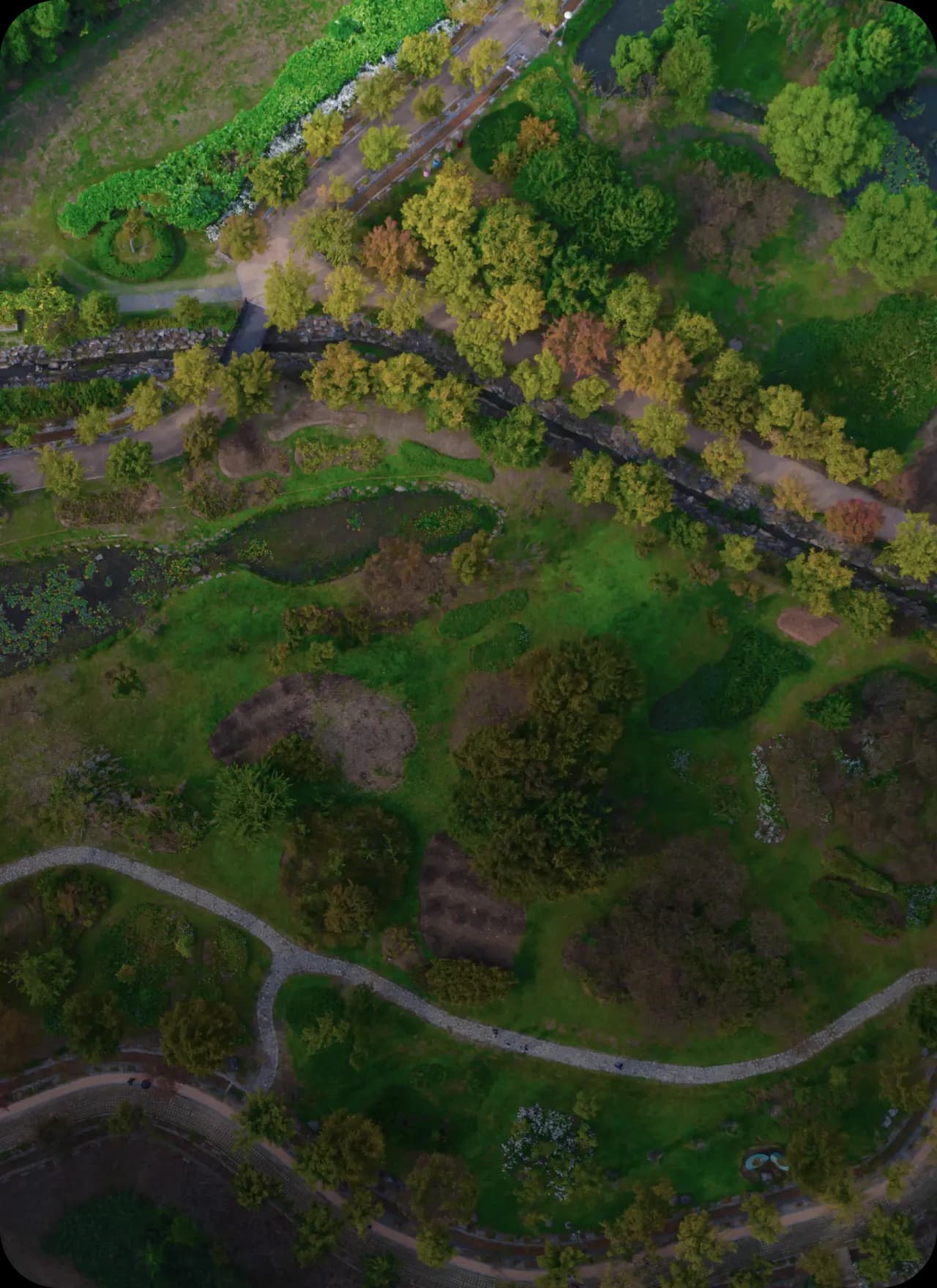 Core value: 자연정화활동